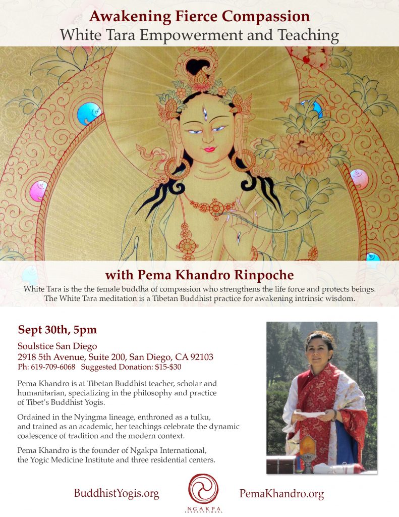 Tibetan Dream Yoga with Pema Khandro | Buddhist Yogis News